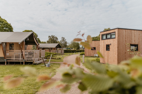 Glamping accommodation De Betuwse Hofjes - Ranger Lodges Gelderland with safari tents and cabins in a green park.