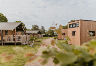 Alloggi glamping De Betuwse Hofjes - Ranger Lodges Gelderland con tende safari e cabine immerse nel verde.