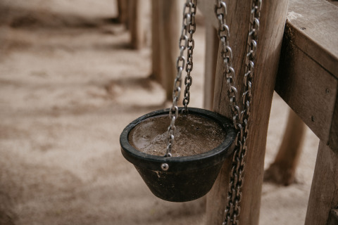 Cuenco negro colgante con cadenas en poste de madera en De Betuwse Hofjes - Ranger Lodges Gelderland camping.