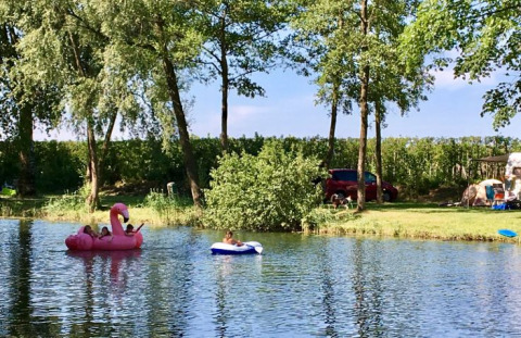 Kinderen spelen op opblaasflamingo’s in het water bij De Betuwse Hofjes - Ranger Lodges in Gelderland.