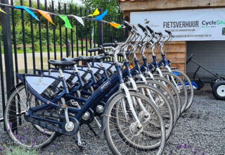 Cykeludlejning ved De Betuwse Hofjes - Ranger Lodges Gelderland med flere blå cykler parkeret udenfor.