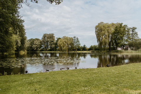 Estanque tranquilo rodeado de árboles cerca de De Betuwse Hofjes - Ranger Lodges Gelderland en Holanda.