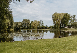 Estanque tranquilo rodeado de árboles cerca de De Betuwse Hofjes - Ranger Lodges Gelderland en Holanda.