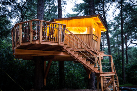 TreeLounge - Boomhut Nedersaksen : Cabane perchée éclairée dans la forêt, idéale pour une expérience glamping.