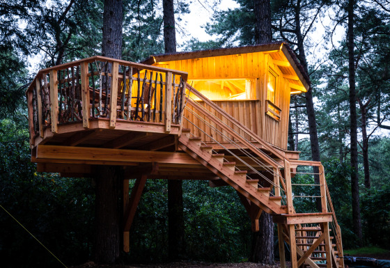 TreeLounge - Boomhut Nedersaksen: Sfeervolle, verlichte boomhut in het bos, ideaal voor een unieke glampingervaring.