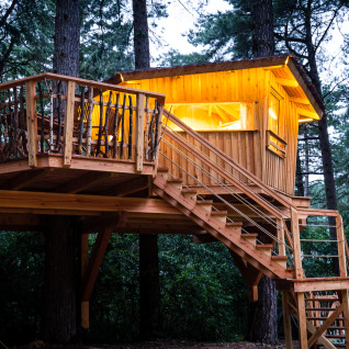TreeLounge - Boomhut Nedersaksen : Cabane perchée éclairée dans la forêt, idéale pour une expérience glamping.