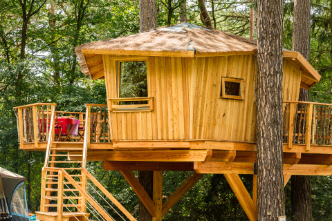 Alojamiento glamping en casa del árbol TreeLounge - Boomhut Nedersaksen con terraza en el bosque verde.