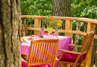 Tavolo all'aperto con tovaglia rosa e fiori su TreeLounge - Boomhut Nedersaksen, struttura glamping tra gli alberi.