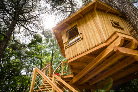 Moderne træhytte med terrasse i skoven, glamping indkvartering kaldet TreeLounge - Boomhut Nedersaksen.