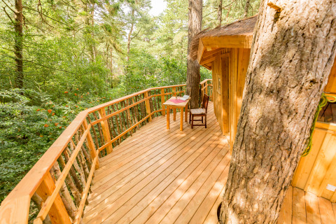 Glamping-Unterkunft im Baumhausstil mit Holzterrasse und Tisch im Wald, TreeLounge - Boomhut Nedersaksen.