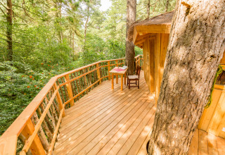 Hébergement glamping en cabane dans les arbres avec terrasse en bois, TreeLounge - Boomhut Nedersaksen.