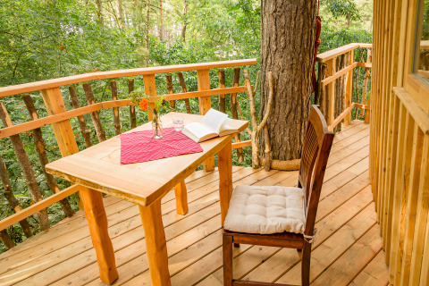 Cabaña en árbol con terraza de madera, mesa, silla, libro, flores y vaso en un entorno natural.