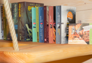 Boekenkast met Harry Potter-boeken, thrillers en een promokaart van TreeLounge Boomhut Nedersaksen glamping.