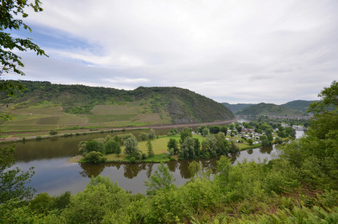 Vue panoramique du site de glamping Mosel Islands au bord de la Moselle avec collines verdoyantes et tentes.