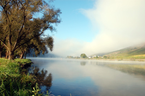 Vista tranquila del río Mosela con árboles y niebla, cerca de Mosel Islands - Luxe slaapvaten glamping.