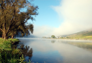 Serene Moselle riverside with trees, mist, and nearby Mosel Islands - Luxe slaapvaten glamping view.