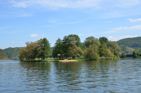 Piccola isola alberata in un fiume sotto cielo azzurro, vicino al glamping Mosel Islands in Germania.