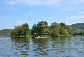 Small tree-covered island in a river under blue sky, near Mosel Islands glamping accommodation in Germany.