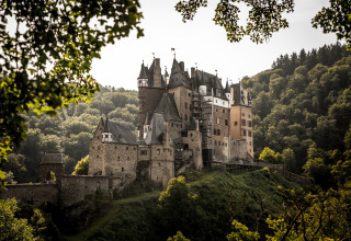 Historische Burg in bewaldeter Umgebung an der Mosel, nahe luxuriösen Schlaf-Fässern bei Mosel Islands.