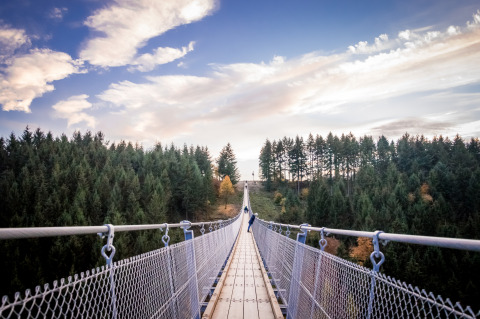 Lange Hängebrücke im Wald in der Nähe der Unterkunft Mosel Islands - Luxe slaapvaten aan de Moezel.