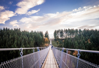 Lange Hängebrücke im Wald in der Nähe der Unterkunft Mosel Islands - Luxe slaapvaten aan de Moezel.