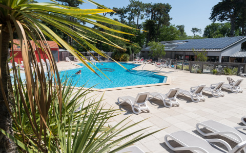 Udendørs swimmingpool med solsenge og palmer på Camping Les Cyprès - Glampingtenten Vendée, afslappet stemning.