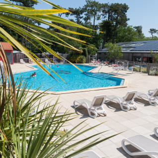 Piscina all'aperto con lettini e palme al Camping Les Cyprès - Glampingtenten Vendée, atmosfera rilassante.