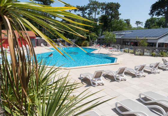 Outdoor swimming pool with sun loungers and palm trees at Camping Les Cyprès - Glampingtenten Vendée, relaxing setting.