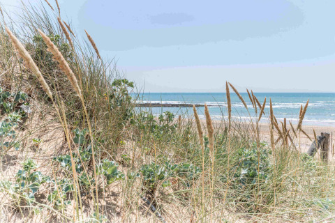 Vue sur la plage à travers dunes et herbes au Camping Les Cyprès - Glampingtenten Vendée.