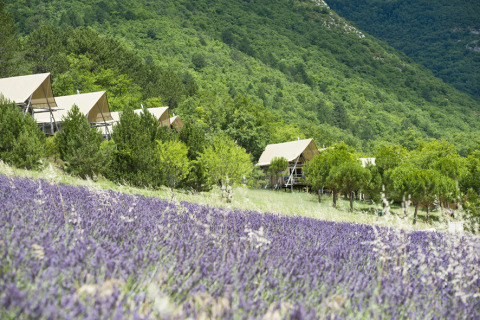 Glamping-Unterkunft im Village Huttopia Dieulefit mit Lavendelfeld und grünen Hügeln in Drôme-Provence.