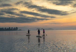 Tre persone fanno paddleboarding su un lago tranquillo al tramonto vicino a Pean Buiten - Natuurhuisjes Friesland.