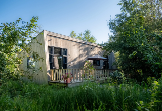 Cabane moderne en bois à Pean Buiten - Natuurhuisjes Friesland, entourée d'une végétation luxuriante.