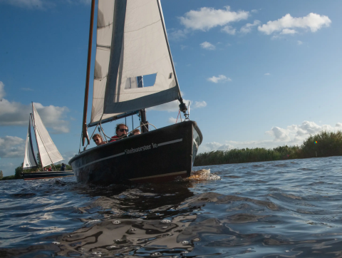 Sejlbåde sejler på en sø under blå himmel ved Pean Buiten - Natuurhuisjes Friesland, ideelt til glamping.