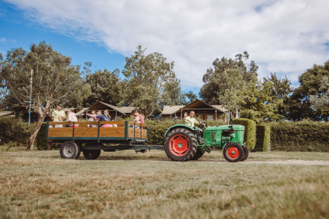 Familier nyder en traktorvognstur foran safaritelt ved Camping Village de la Guyonnière i Vendée, Frankrig.
