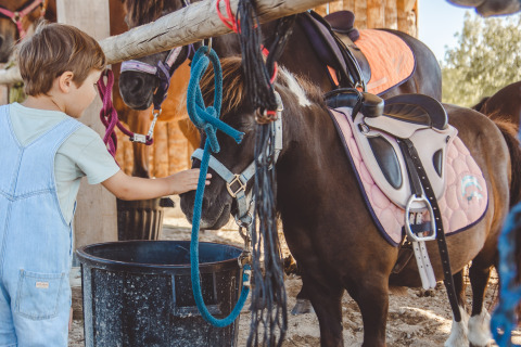 A child feeding a pony at Camping Village de la Guyonnière – Safaritenten Vendée, a glamping site in France.
