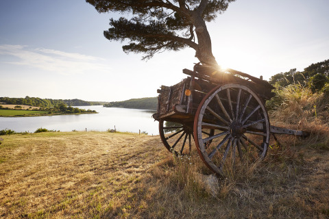 Scenic view of lake and rustic wooden cart at Camping Village de la Guyonnière – Safaritenten Vendée.