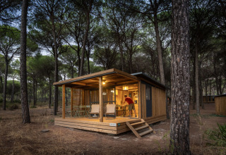 Cozy glamping cabin at Huttopia Parque de Doñana, Andalusia, surrounded by pine forest and evening light.