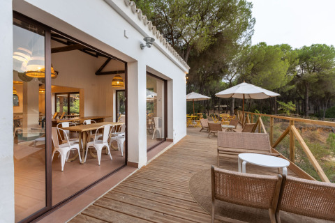 Udendørs terrasse med trædæk og loungemøbler ved Huttopia Parque de Doñana Glamping i Andalusien, omgivet af fyrretræer.