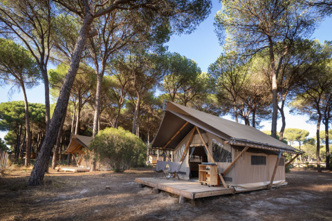 Glamping-Unterkünfte mit modernen Zelten zwischen Kiefern, Huttopia Parque de Doñana, Andalusien, Spanien.