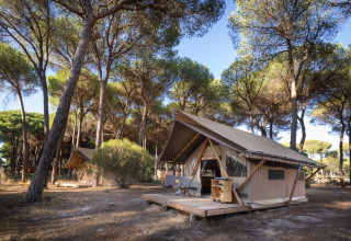 Alojamiento glamping entre los árboles en Huttopia Parque de Doñana – Glamping Andalucía, tiendas modernas.