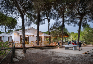 Zona de glamping al aire libre en Huttopia Parque de Doñana, Andalucía, con personas jugando al ping pong.