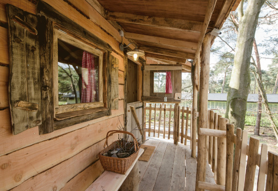 Alojamiento glamping en casa del árbol en Recreatiepark d'n Mastendol, Brabant, Países Bajos, con porche rústico.