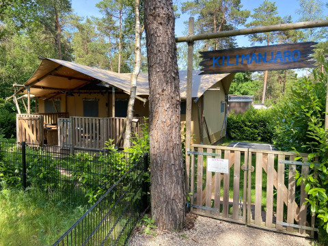 Luxuriöse Glamping-Unterkunft Kilimanjaro im Wald, Ons plekje in het bos - Safarilodges Gelderland.