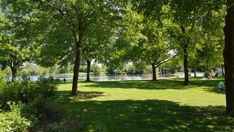 Zona de camping verde con árboles y un lago en Luxe Camping Borken am See - Glamping Noordrijn-Westfalen.