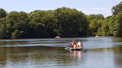 Familie sejler på søen ved Luxe Camping Borken am See - Glamping Noordrijn-Westfalen omgivet af grønne træer.