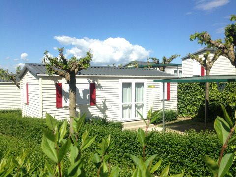 Glamping accommodation at Park Mas Patoxas – Bungalows Costa Brava, featuring sunny bungalows and trees.