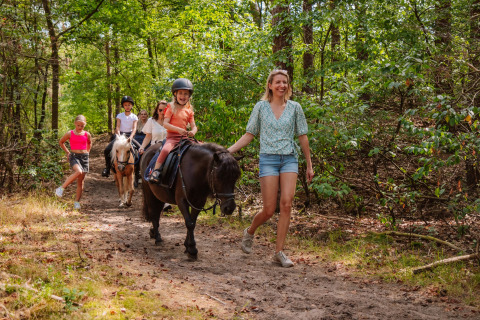 Des enfants montent des poneys sur un sentier forestier, accompagnés d’adultes, à Camping Samoza – Glamping Lodges Veluwe.