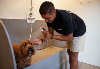 Man washing a small brown dog with handheld shower in pet-friendly area at Camping Samoza – Glamping Lodges Veluwe.