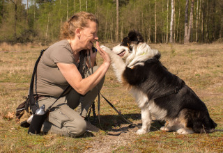 Vrouw speelt met haar hond buiten bij Camping Samoza – Glamping Lodges Veluwe in Nederland.