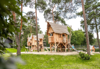 Lodges glamping immersi nella natura a Camping Samoza Veluwe, casette di legno e bambini che giocano.